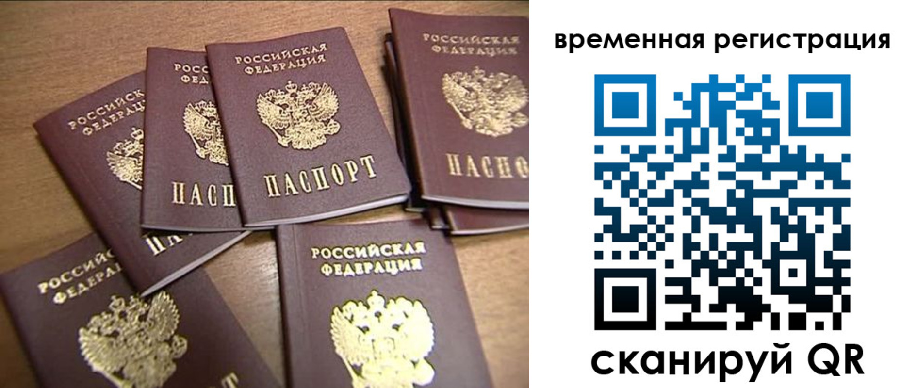 прописка ребенка в Александровске